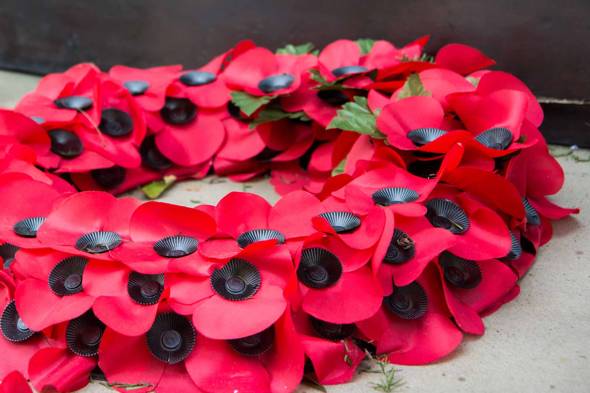 Poppy Fields at the Tower - Remembrance Weekend